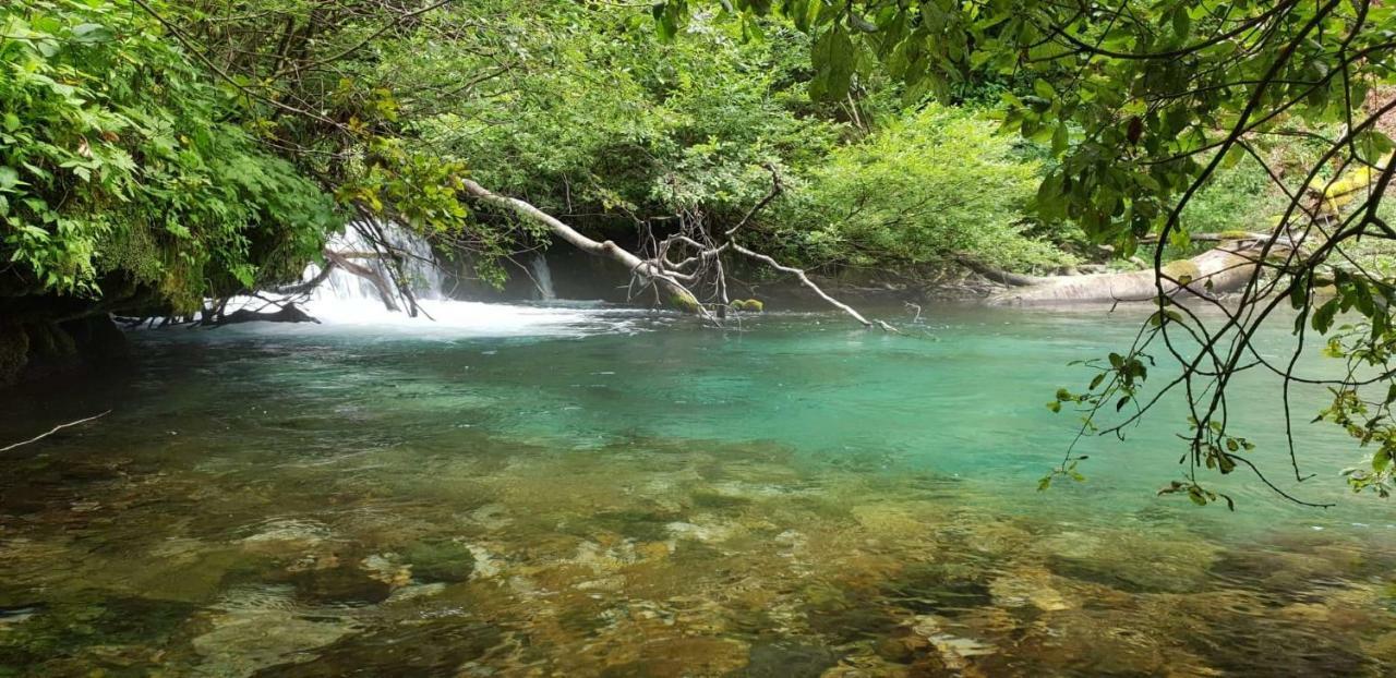Vacation House Home, Plitvice Lakes National Park Plitvicka Jezera Exterior photo